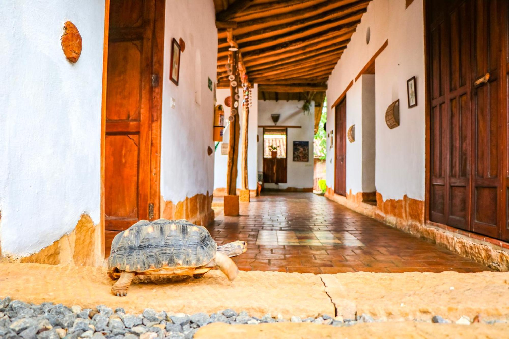 Hotel Casa Canela Barichara Zewnętrze zdjęcie